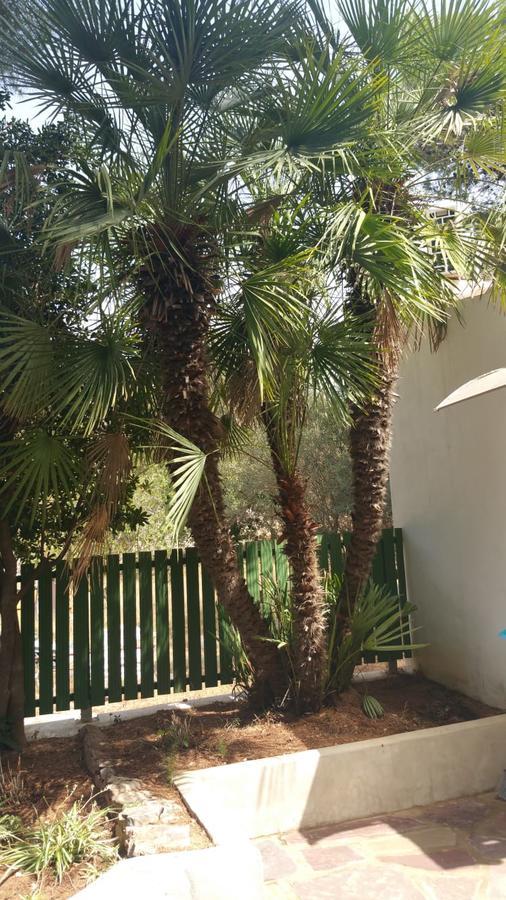 Villa Chabola Dénia Buitenkant foto