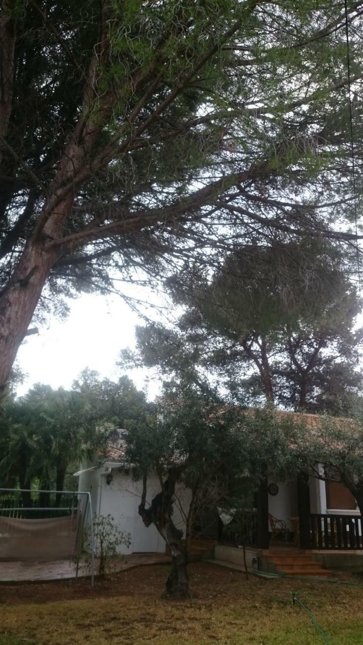 Villa Chabola Dénia Buitenkant foto
